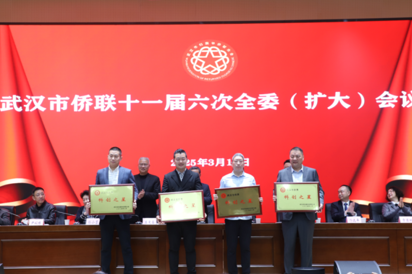 智化科技荣获武汉市侨界“科创之星”