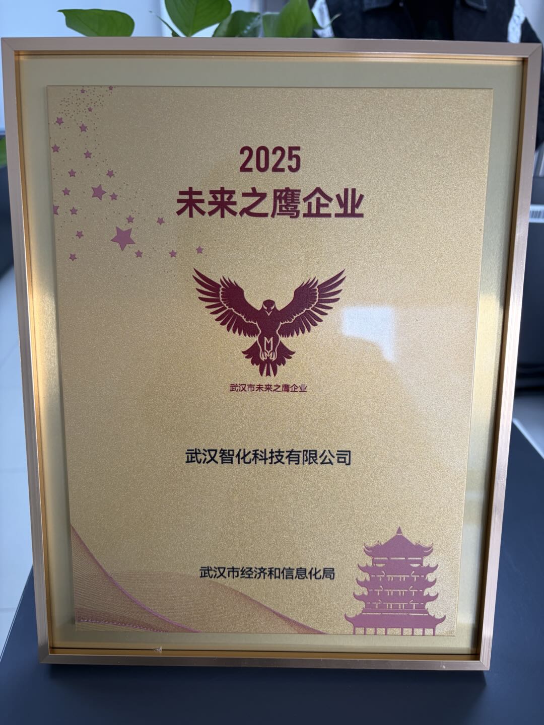 智化科技荣获&ldquo;未来之鹰&rdquo; 称号，以硬核创新赋能未来信息产业